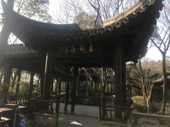 -上海佘山国家森林公园天马山园