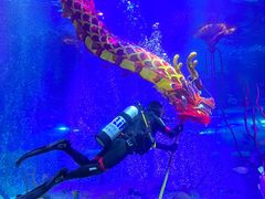 -沈阳海洋探索中心