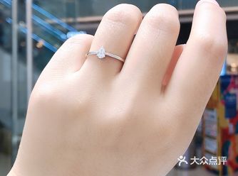 钻石小鸟钻戒推荐——怜爱