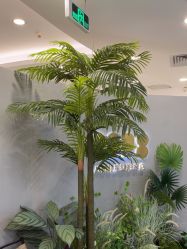 -八佰伴8008星级形象店