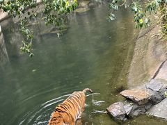 -杭州动物园