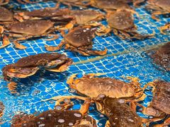 -驻海渔市(置信店)