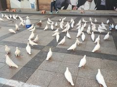 -王府井奥莱棋盘山小镇