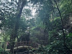 -火炉山森林公园
