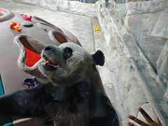 -栾川竹海野生动物园