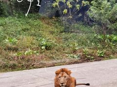 -西安秦岭野生动物园
