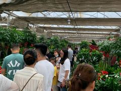 -秦美花卉(天朗·莱茵小城2期店)