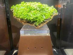-中国地质大学逸夫博物馆