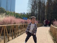 -艾溪湖湿地公园