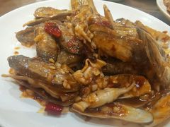 辣炒蛏子-小铜锣湾海鲜家常菜馆(河西店)