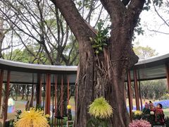 -云溪植物园