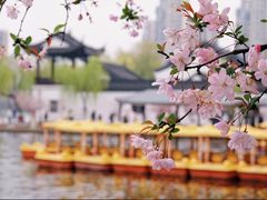 -莫愁湖公园