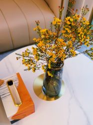 点击看大图 -YESIDO椰岛美容