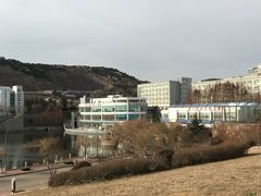 -青岛大学(金家岭校区)
