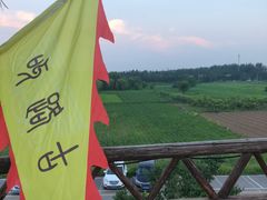 -呀路古热带植物园