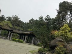 -铁山坪森林公园