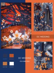 -DC大蔡婚礼策划(李公堤店)