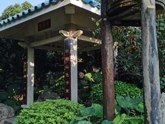 -大屏嶂森林公园