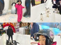 -广州热雪奇迹