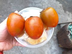 -杨家堂村