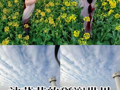 -武昌江滩