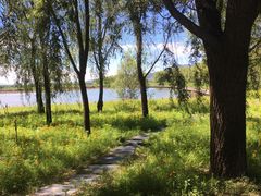 -野鸭湖国家湿地公园