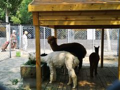 -长白岛森林公园