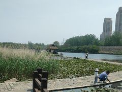 -前关湿地公园