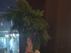 -大拙里·精致融合菜(沙湖桃源国际店)