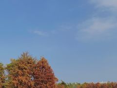 -厦门园林博览苑