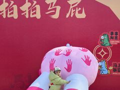 -少华山国家森林公园