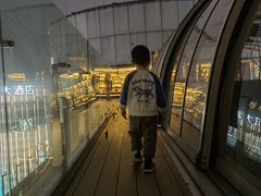 -Hi City·城市之巅