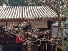 -成都武侯祠博物馆
