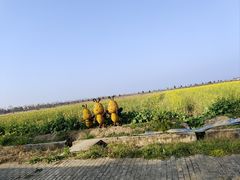 -漩门湾国家湿地公园