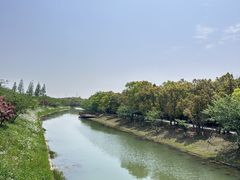 -上海海湾国家森林公园