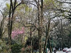 -杭州植物园