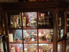 -雪灵魔法世界SHELLY’S TAROT(大良桂畔里店)