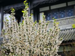 -海窝子古镇
