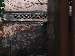 -百花深处胡同
