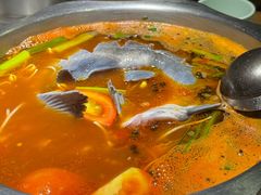 -亮欢寨快活林 酸汤鱼(仁怀店)