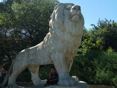 -石家庄市动物园