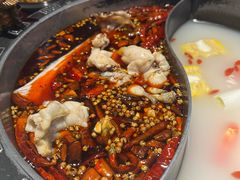 -销魂美蛙鱼头火锅(上海首店)