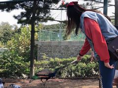 -西霞口神雕山野生动物世界