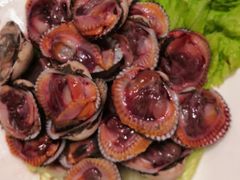 血蚶-高佳庄·舟山海鲜(海景旗舰店)