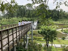 -东莞植物园