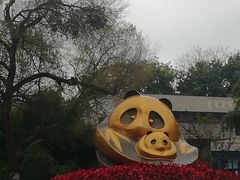 景点-成都大熊猫繁育研究基地