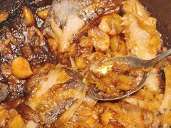 -海派美食·家宴海鲜青岛菜·石锅鲽鱼头(东方城店)
