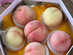 -南汇水蜜桃采摘(大团店)