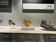 -中国地质博物馆