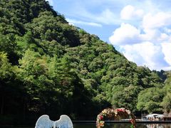 -龙湾潭国家森林公园